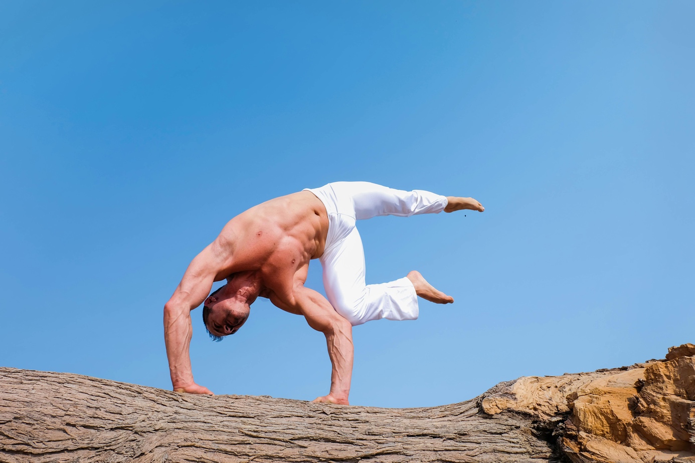 Lire la suite à propos de l’article Vous Ne Croirez Pas Ce Que le Yoga Peut Faire pour Vos Muscles !